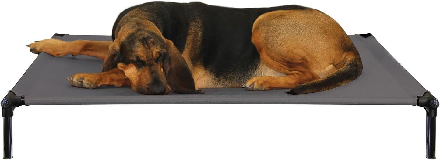 X-Large Dog Zone Pro-Training Bed