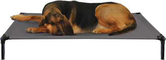 X-Large Dog Zone Pro-Training Bed